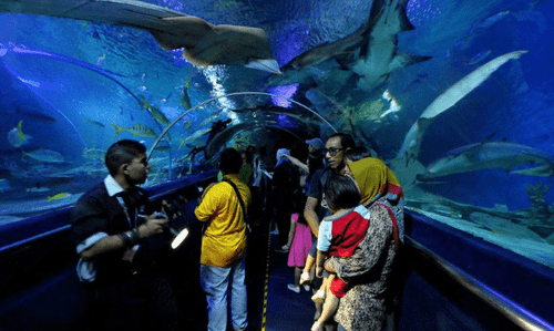 Aquaria KLCC - An Underwater Adventure.png