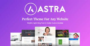Astra portfolio starter theme