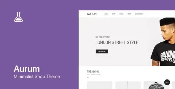 Aurum minimalist WooCommerce theme