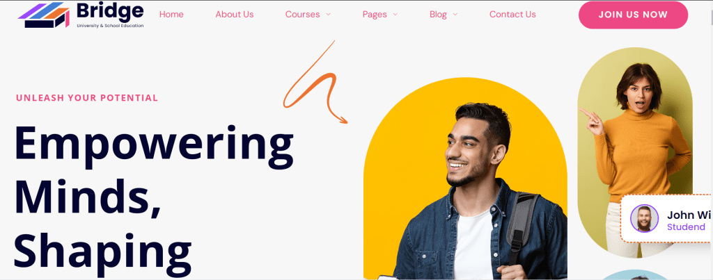 Bridge-education-layout-1024x403.png