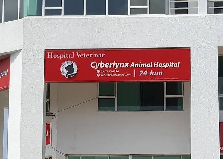 Cyberlynx Animal Clinic Sdn Bhd-One of the Top Vet Clinics in Selangor, Malaysia.jpg