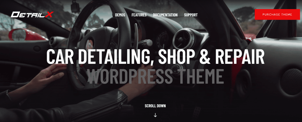 Detailx--car-detailing-repair-garage-best-wordpress-theme-1024x415.png