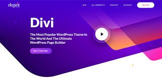 Divi Multipurpose wordpress theme