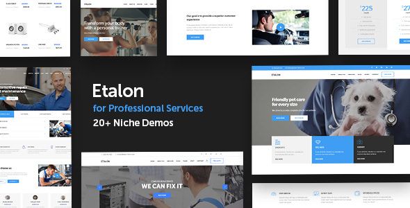 Etalon multi-concept themes