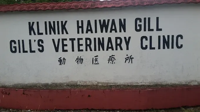 Gills Veterinary Clinic– One of the Top 5 Vet Clinics in Penang Malaysia.webp