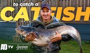 How to catch catfish