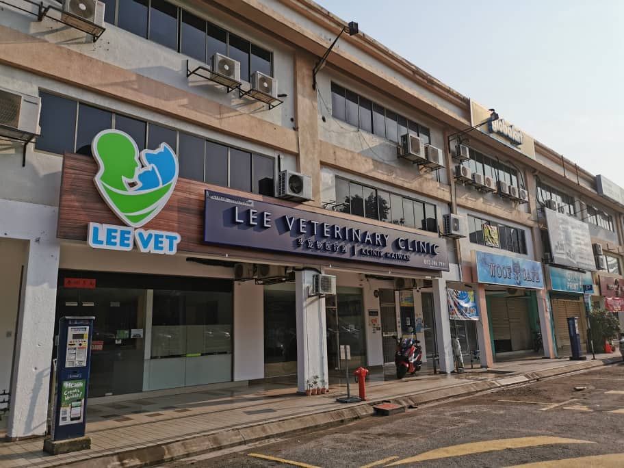 Lee Vet – One of the Best Vet Clinics of 2023 in Kuala Lumpur.jpg