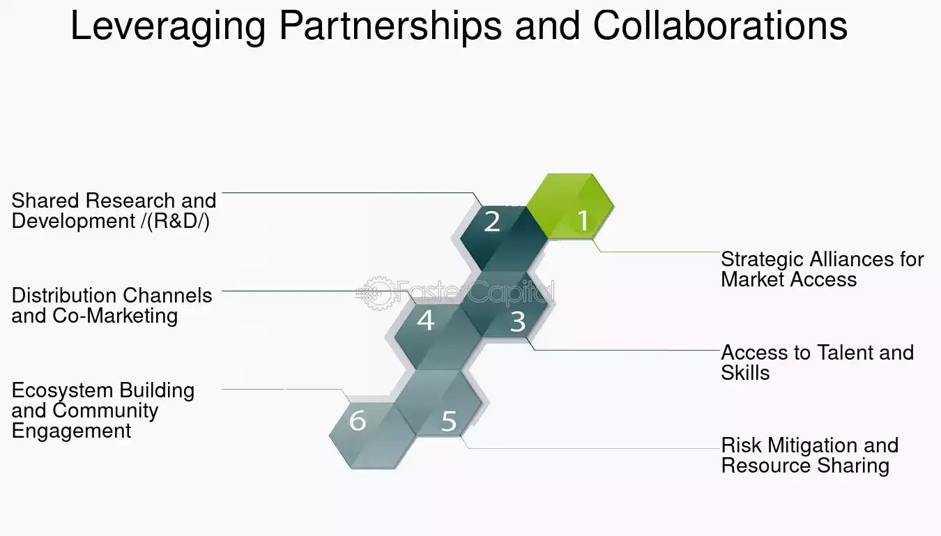 Leveraging Partnerships and Collaborations.webp