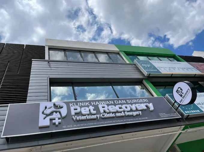 Pet Recovery Veterinary Clinic and Surgery-One of the Top Vet Clinics in Selangor, Malaysia.webp