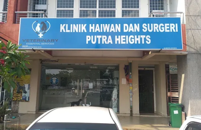 Putra Heights Veterinary Clinic and Surgery-One of the Top Vet Clinics in Selangor, Malaysia.webp