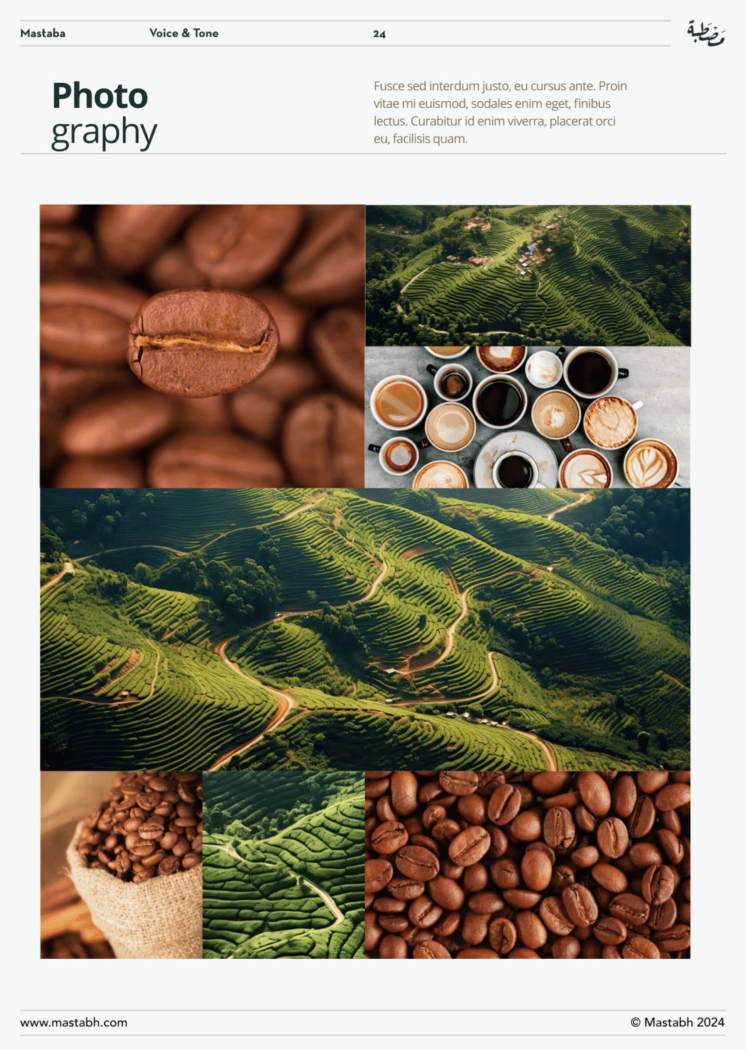 Speciality Coffee Cafe Corporate Branding by Rozzario22.png