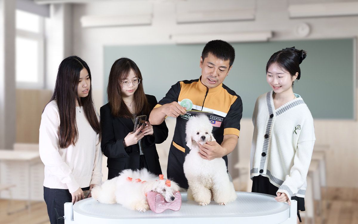 Top Pet Grooming Services in Malaysia...jpg