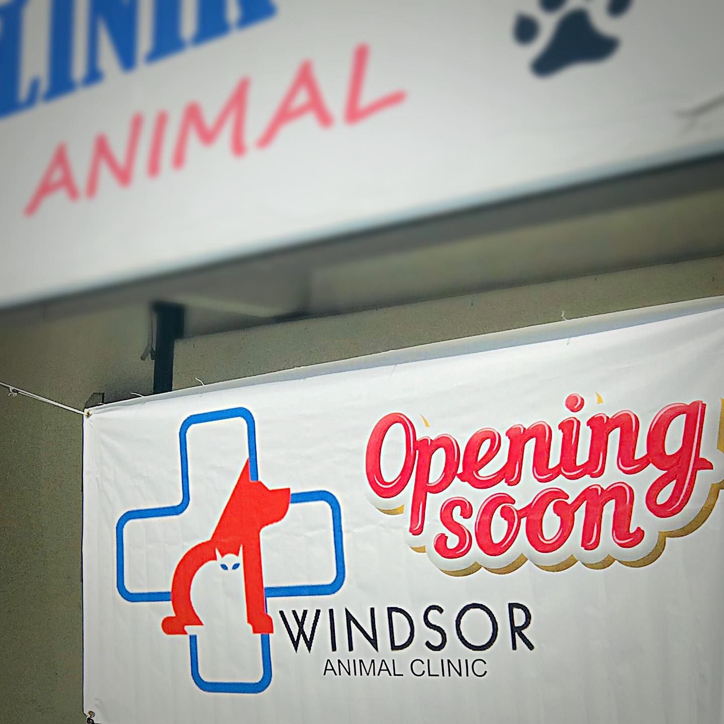 Windsor Animal Hospital– One of the Top 5 Vet Clinics in Penang Malaysia.jpg