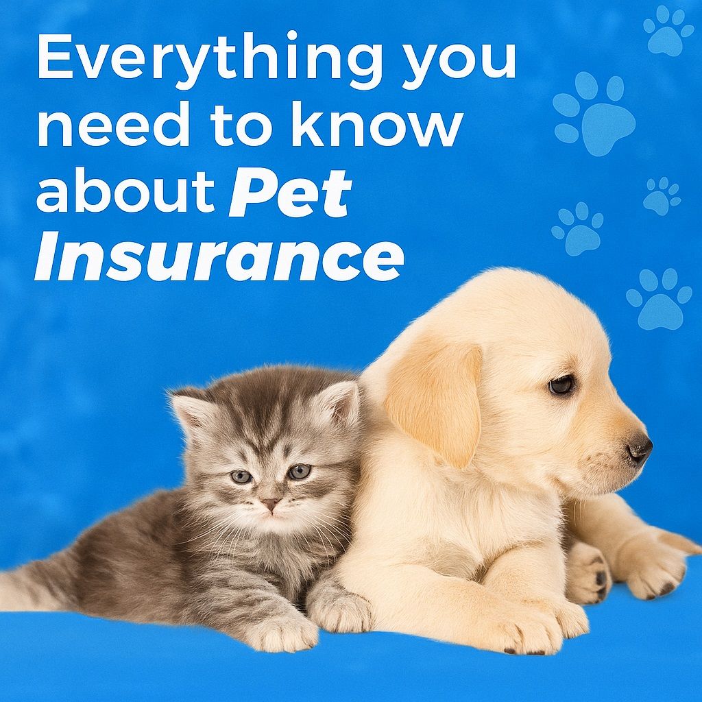 choose the right partner for your pet services business in Malaysia.jpg