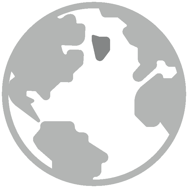 Gray globe icon representing the world